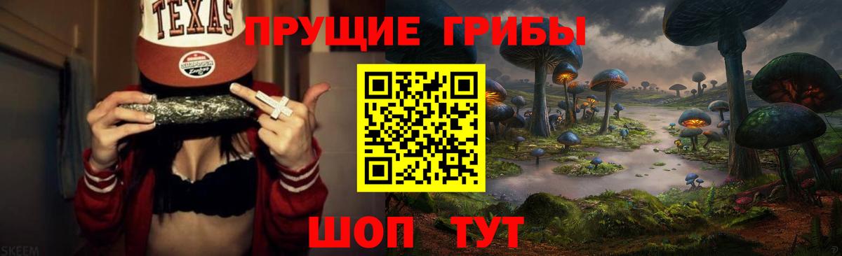 Галлюциногенные грибы MAGIC MUSHROOMS  даркнет сайт  Вход с VPN  Дербент  Галлюциногенные грибы Psilocybe 